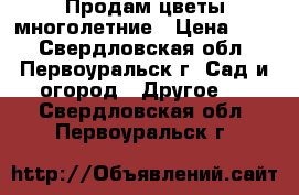Продам цветы многолетние › Цена ­ 50 - Свердловская обл., Первоуральск г. Сад и огород » Другое   . Свердловская обл.,Первоуральск г.